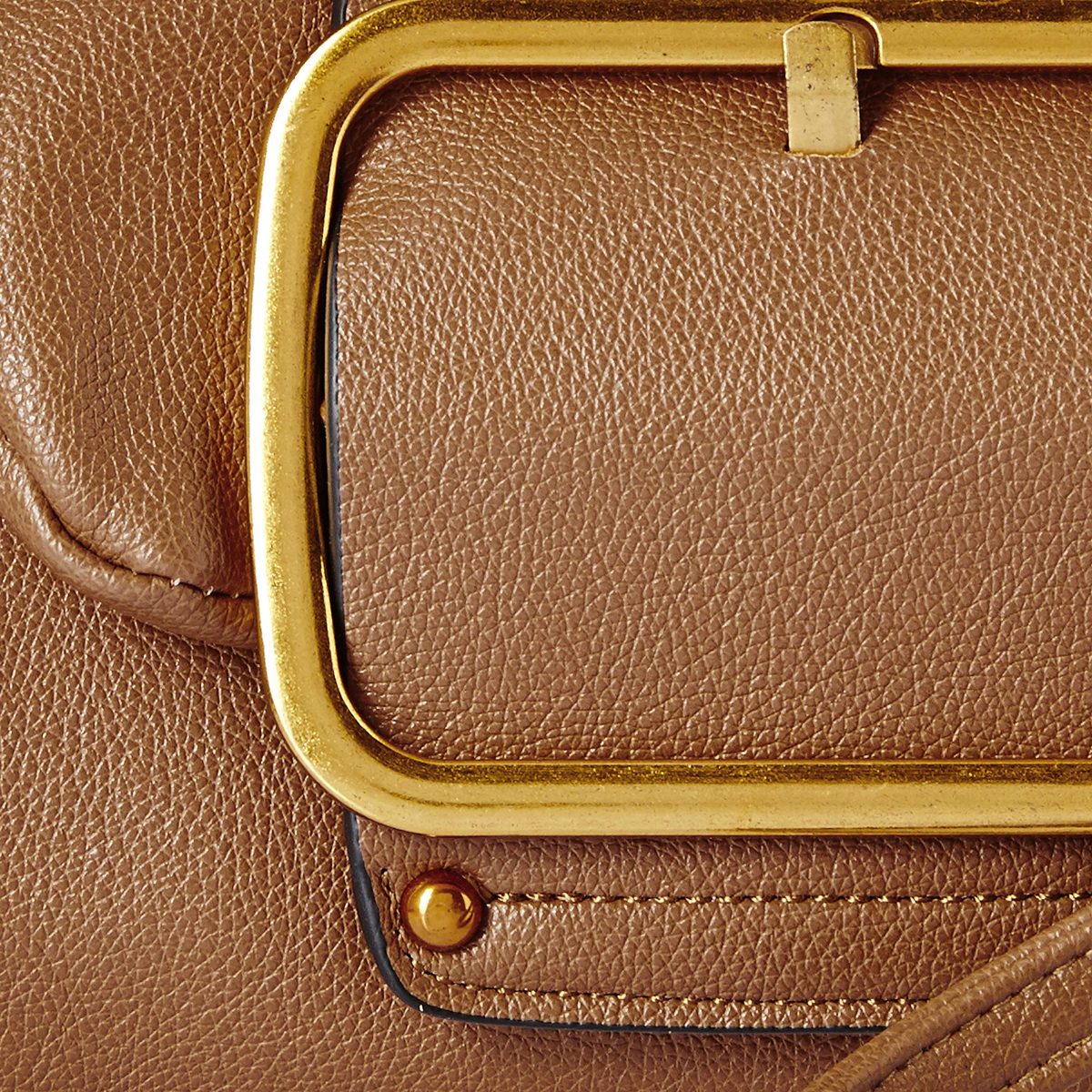 Flavia Women's Handbag (Brown)