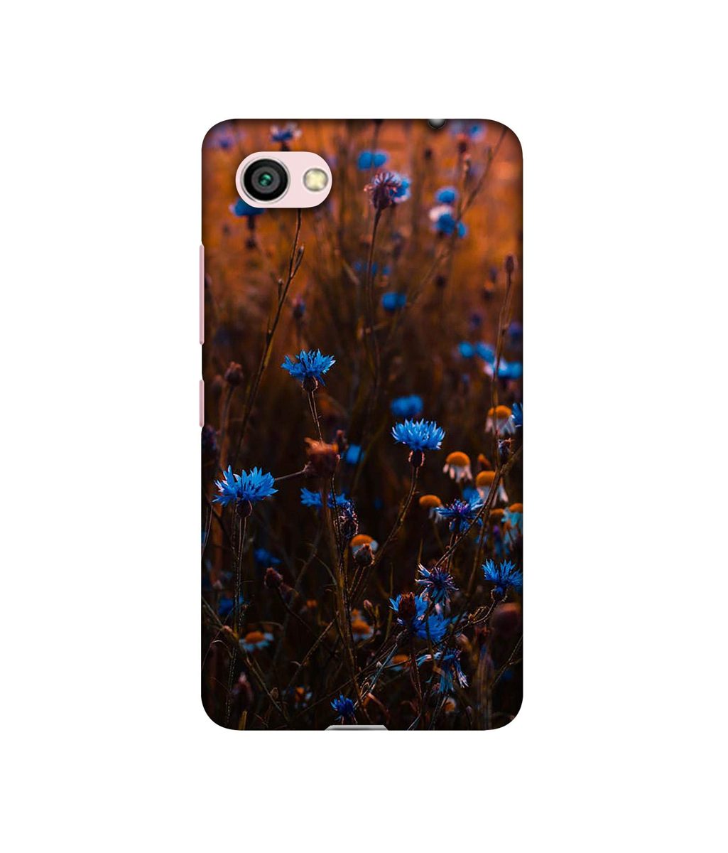 Amazon Brand - Solimo Designer Flower Photograpy 3D Printed Hard Back Case Mobile Cover for Xiaomi Redmi Y1 Lite