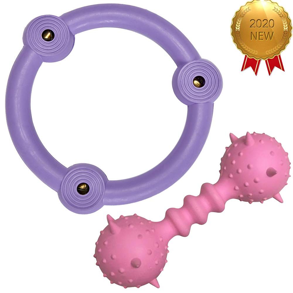 UMI. Essential Pack of 2 Gift Toys for Puppies & Dogs, Rubber Ring and Spiky Stick Dental Chew Dog Toy Value Pack