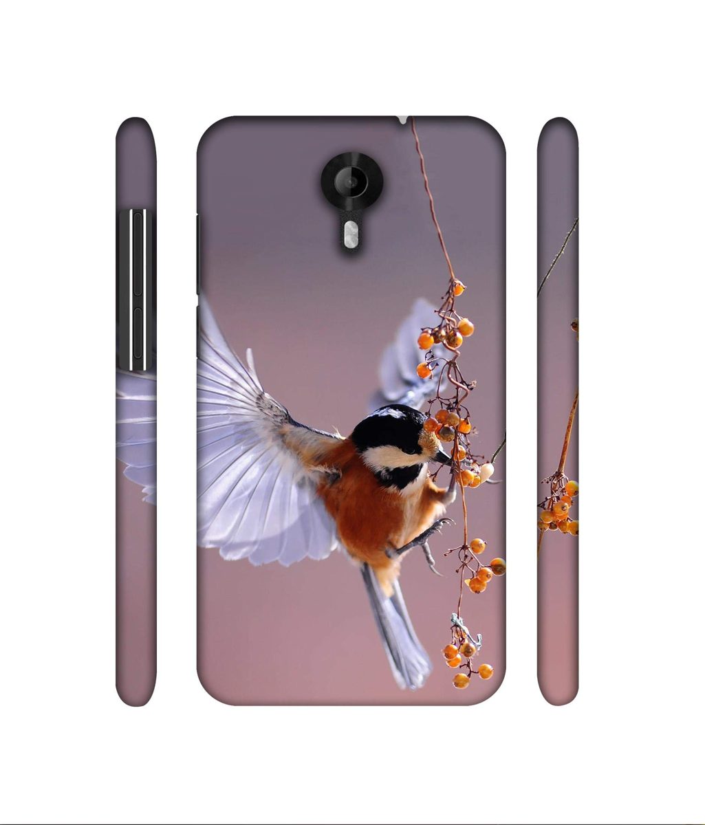 Amazon Brand - Solimo Designer Bird 3D Printed Hard Back Case Mobile Cover for Micromax Canvas Nitro 4G E455