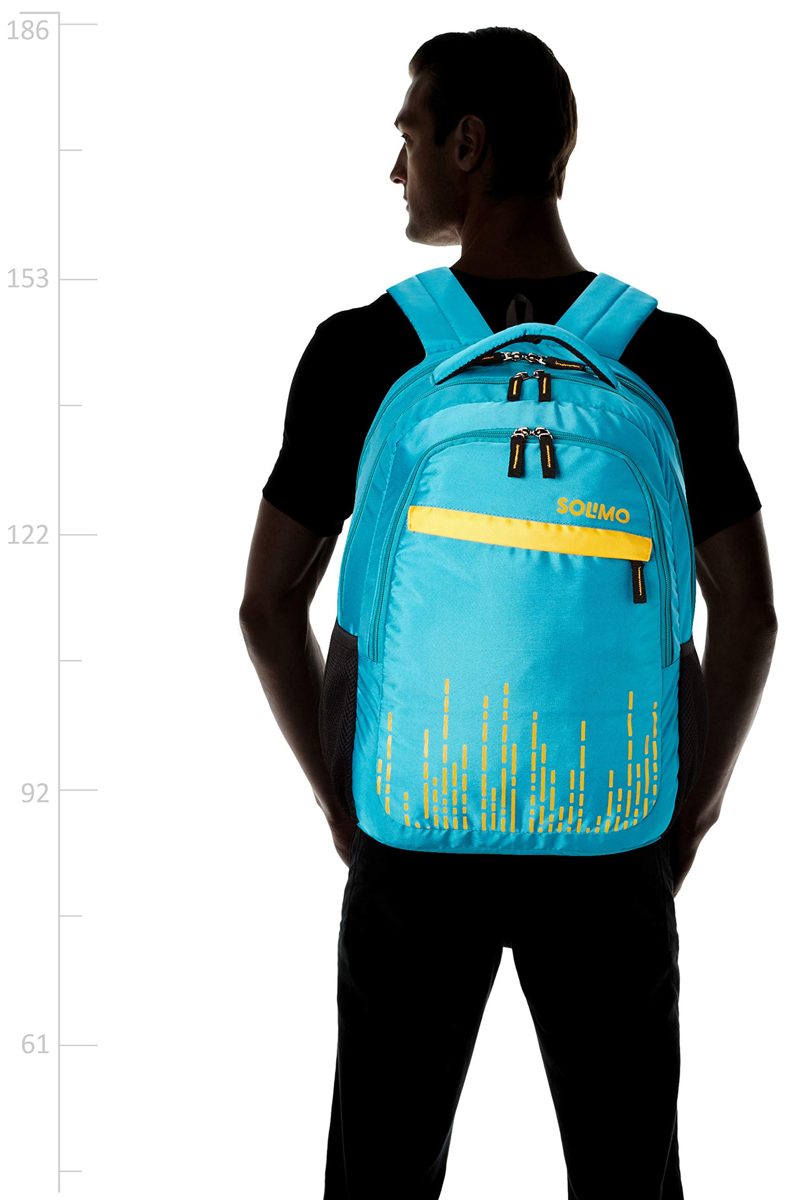 Amazon Brand - Solimo Trellis Laptop Backpack for 15.6-inch Laptops (31 litres,Turquoise)