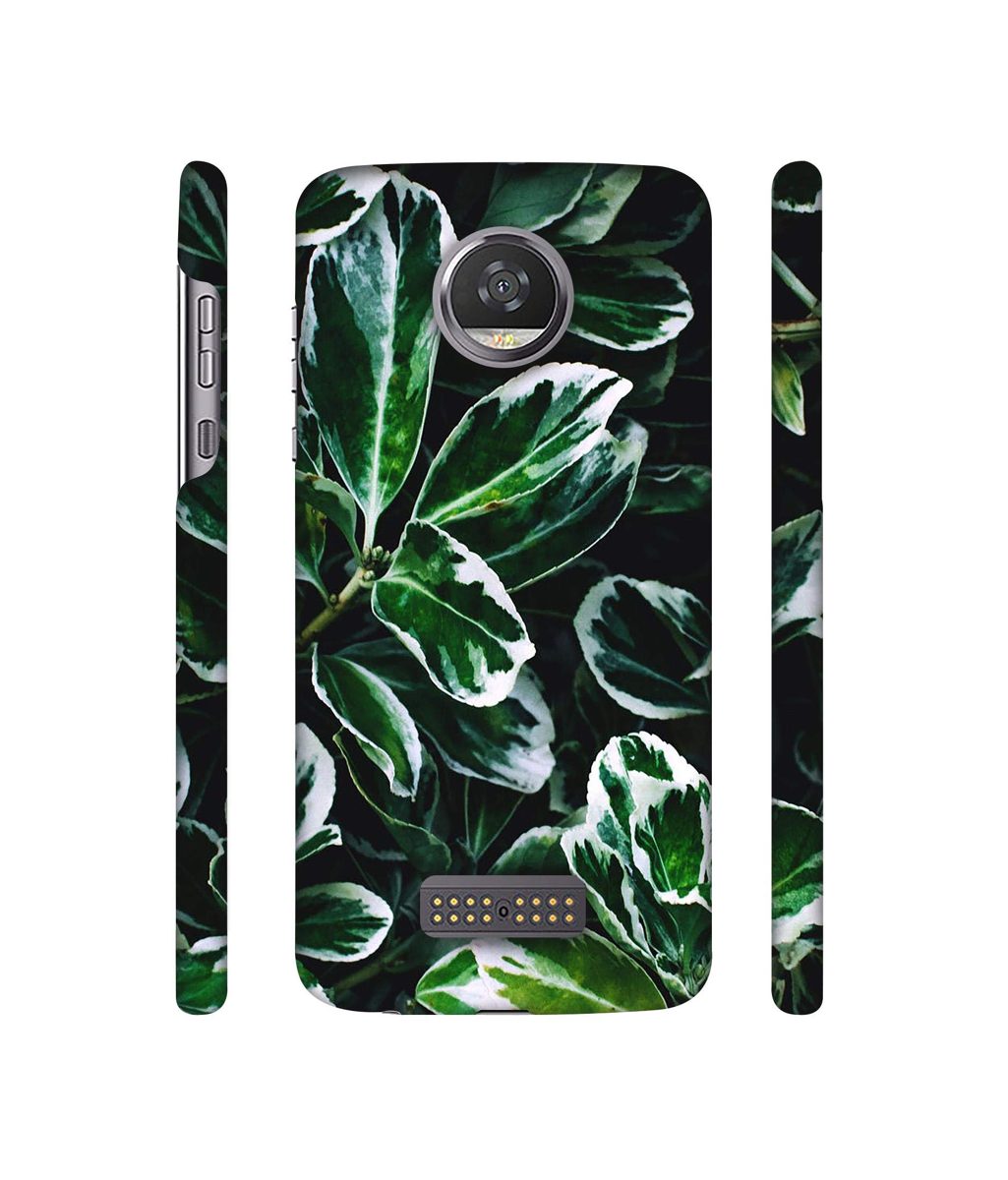Amazon Brand - Solimo Designer Leaf Imperation 3D Printed Hard Back Case Mobile Cover for Moto Z2 Play