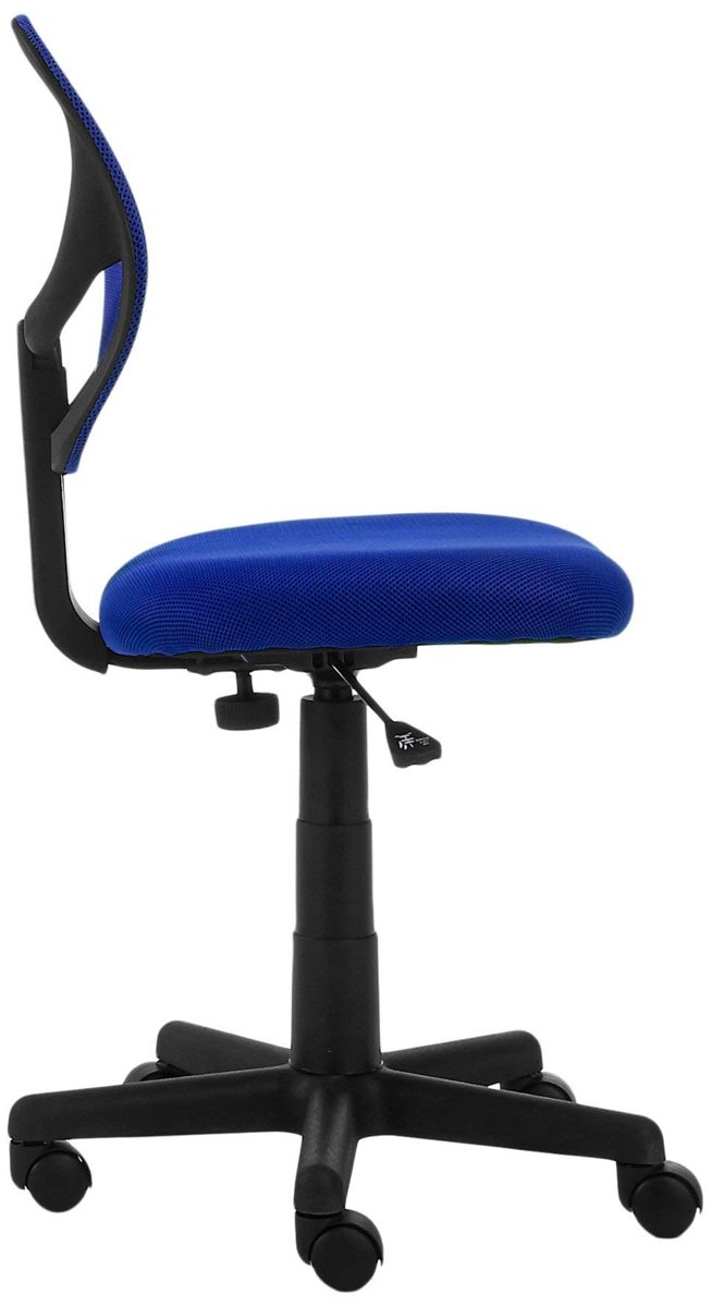AmazonBasics Low-Back Computer Task Office Desk Chair with Swivel Casters - Blue