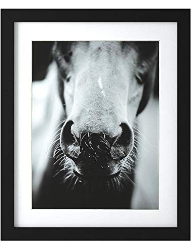 Amazon Brand – Stone & Beam Modern Black and White Horse Nose Photo Framed Wall Art Decor - 18" x 22" Frame, Black
