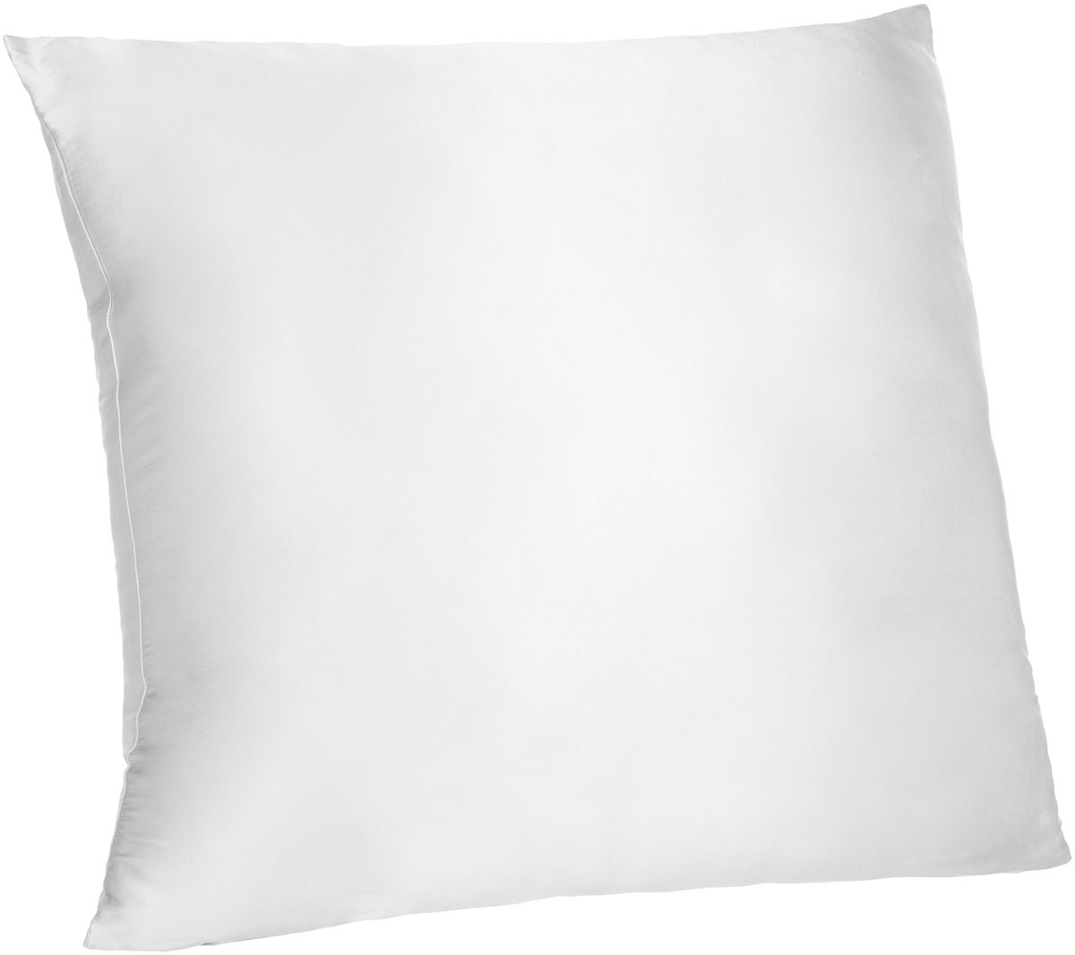 AmazonBasics Pinzon Mulberry Silk and Cotton Reversible Cushion Cover, 80x80cm