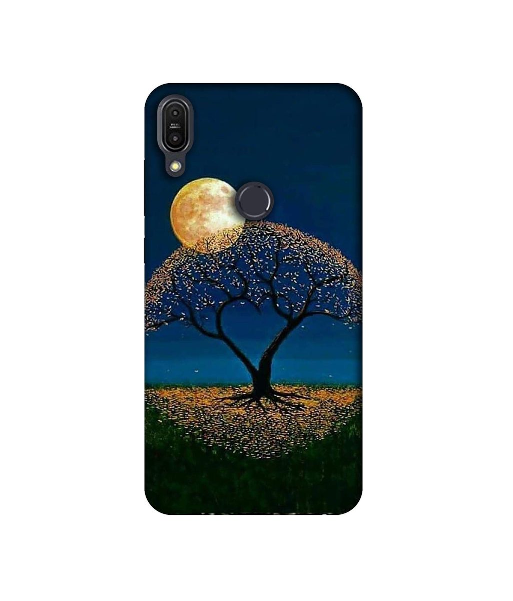 Amazon Brand - Solimo Designer Dark Night View 3D Printed Hard Back Case Mobile Cover for Asus Zenfone Max Pro M1 ZB601KL