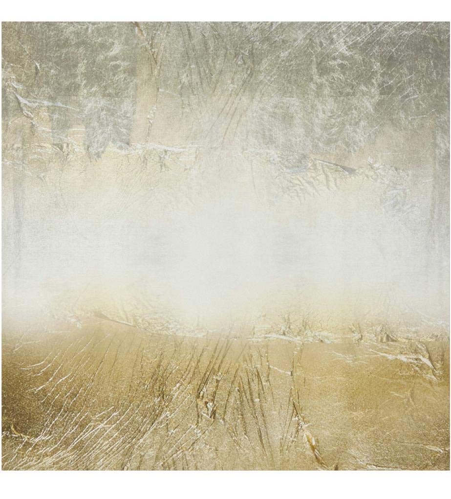 Amazon Brand – Stone & Beam Abstract Grey and Gold Print on Canvas Wall Art, 24" x 24"
