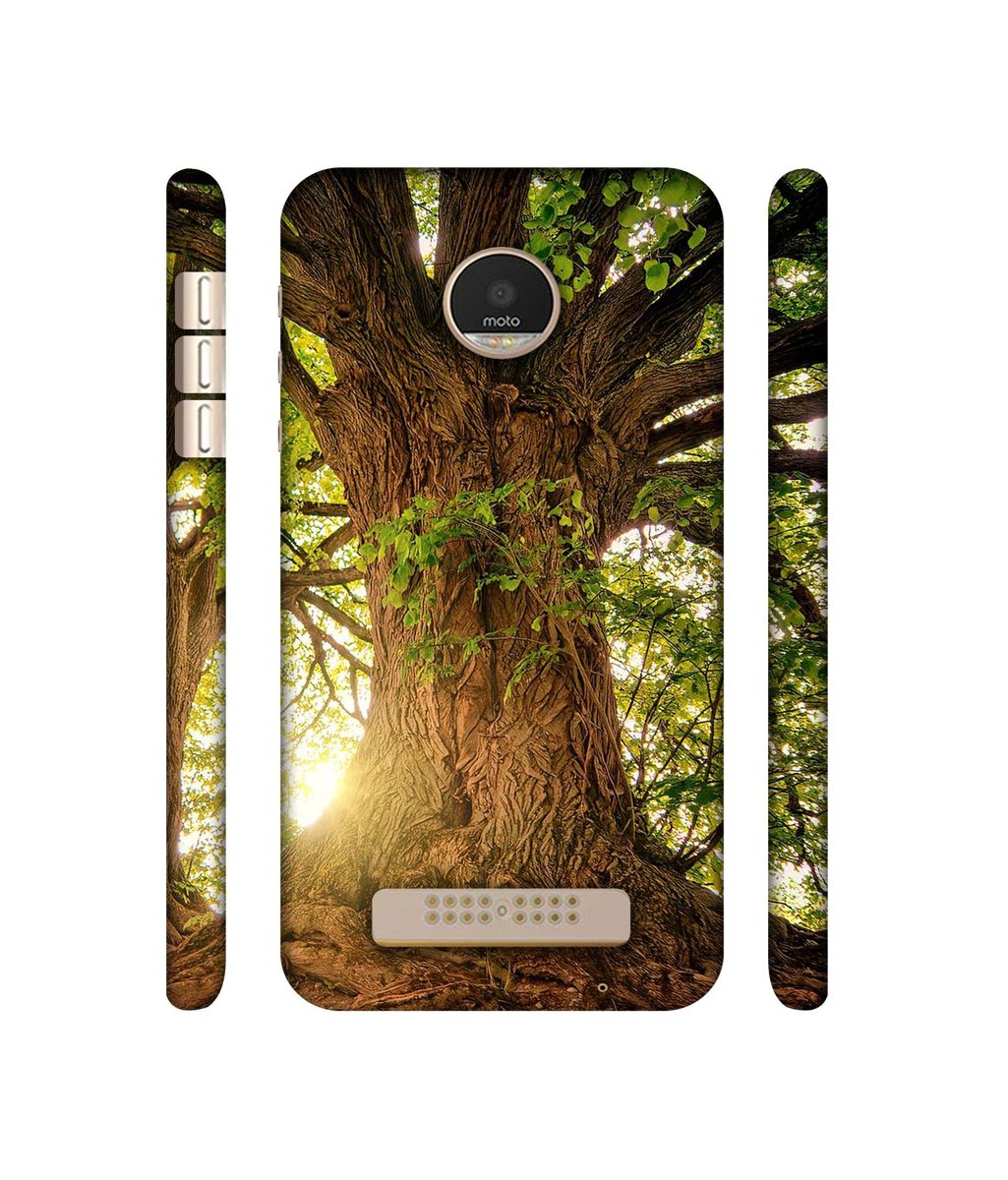 Amazon Brand - Solimo Designer Tree Trunk 3D Printed Hard Back Case Mobile Cover for Motorola Moto Z Play