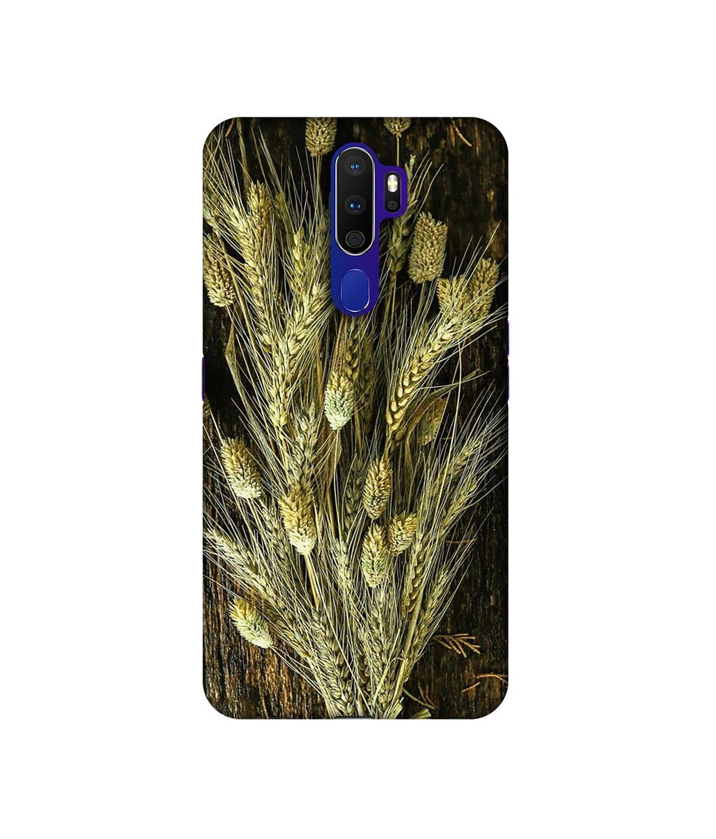 Amazon Brand - Solimo Designer Wheat Plants 3D Printed Hard Back Case Mobile Cover for Oppo A9 (2020)