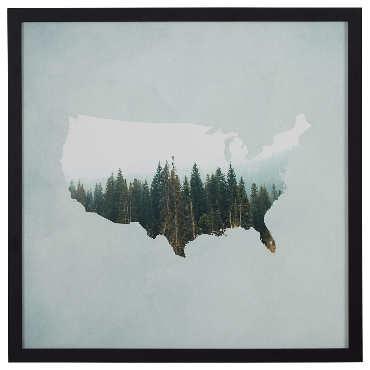 Amazon Brand – Rivet American Forest Map Wall Art Print in Black Wood Frame, 30" x 30"