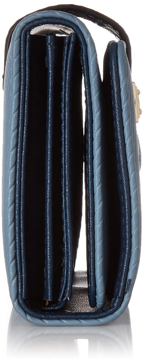Flavia Women's Clutch (Blue)