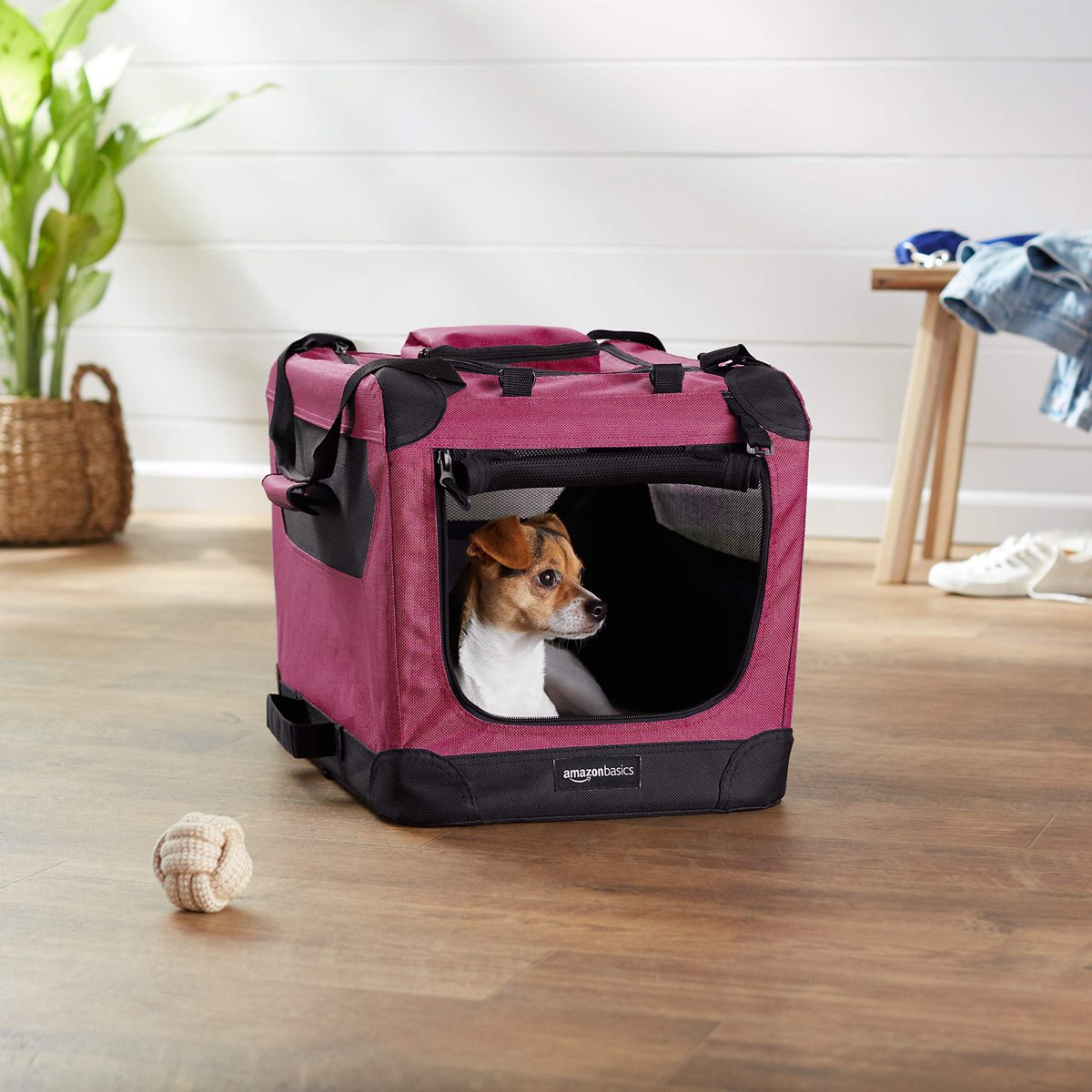 AmazonBasics Premium Folding Portable Soft Pet Crate - 53 cm, RED