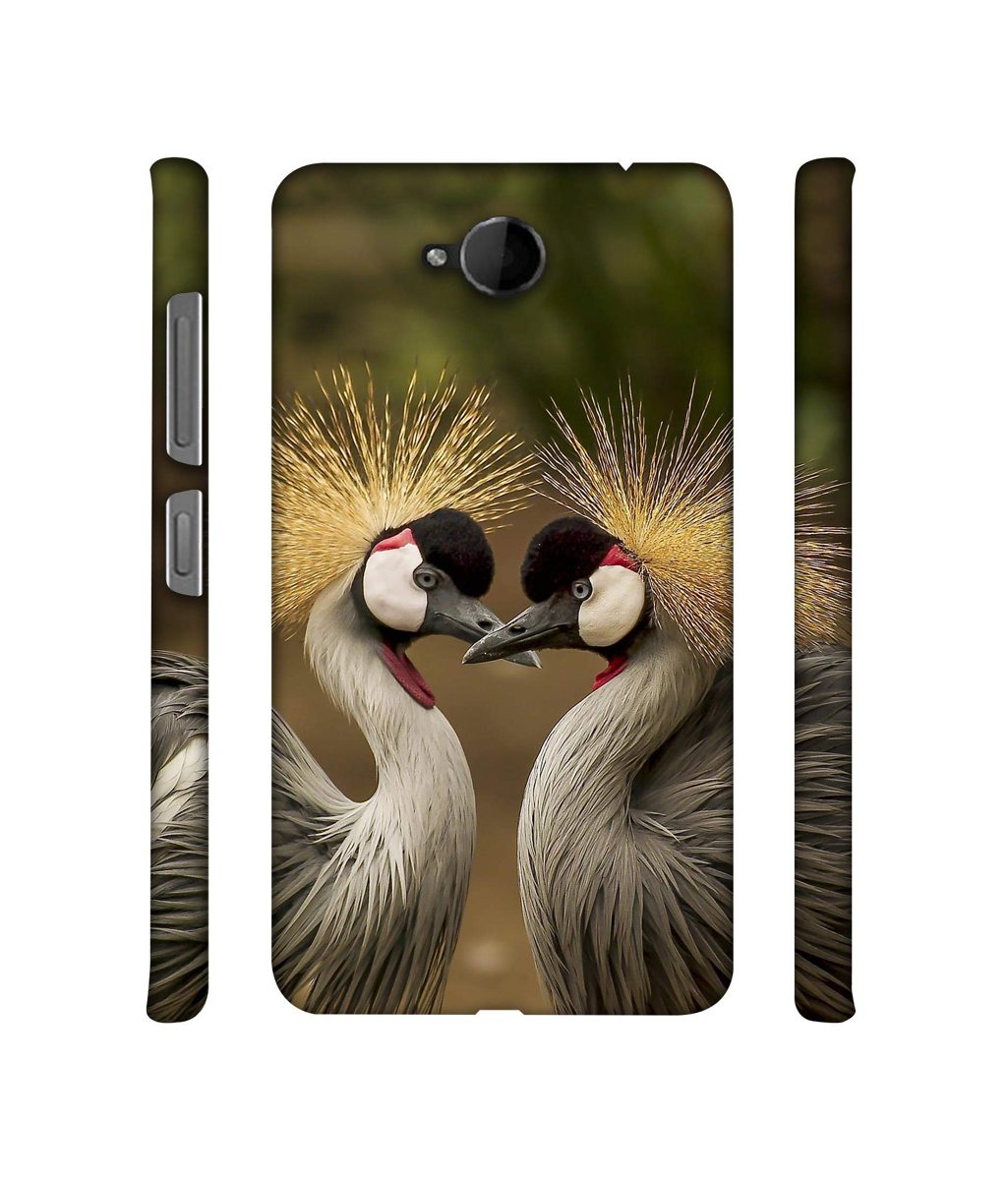Amazon Brand - Solimo Designer Birds 3D Printed Hard Back Case Mobile Cover for Microsoft Lumia 650