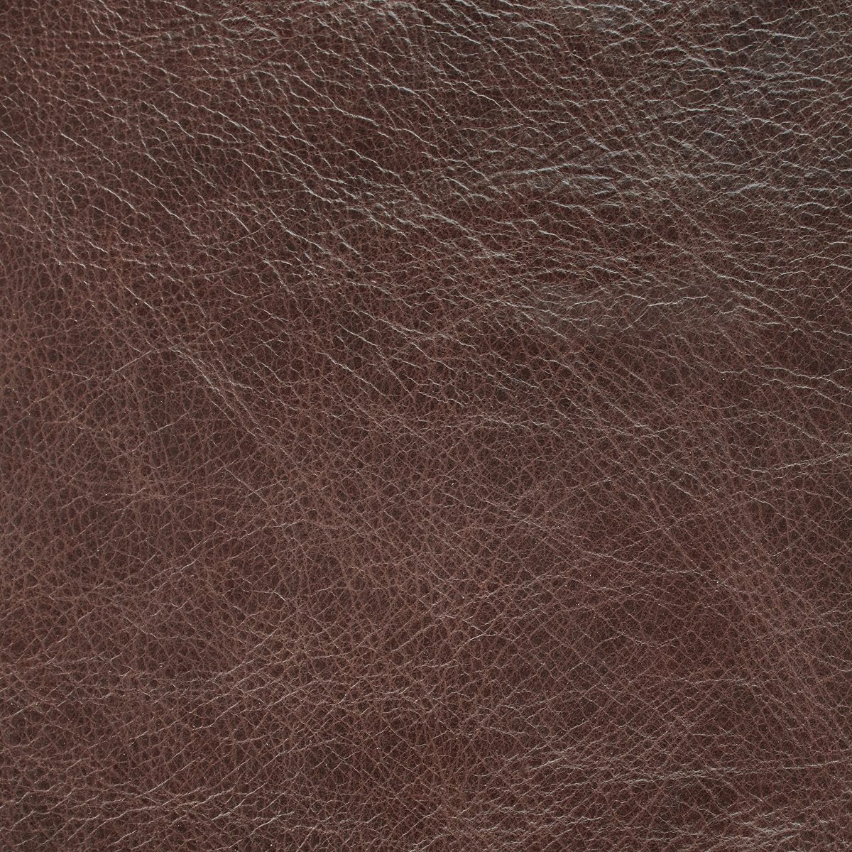 Amazon Brand – Stone & Beam Carson Tufted Leather Kitchen Counter Bar Stool, 45"H, Brown