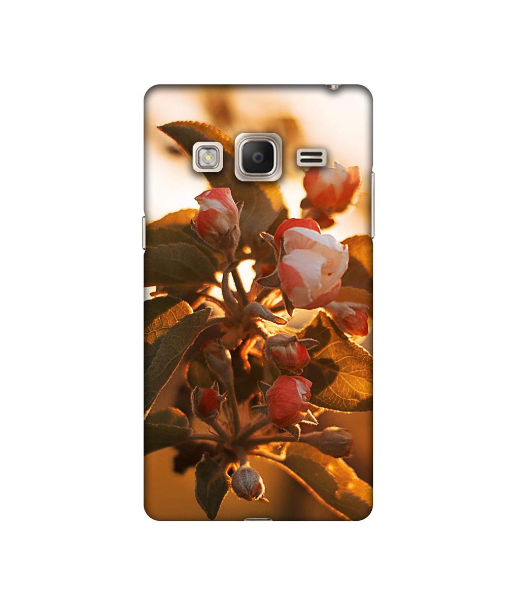 Amazon Brand - Solimo Designer Flowers 3D Printed Hard Back Case Mobile Cover for Samsung Z3
