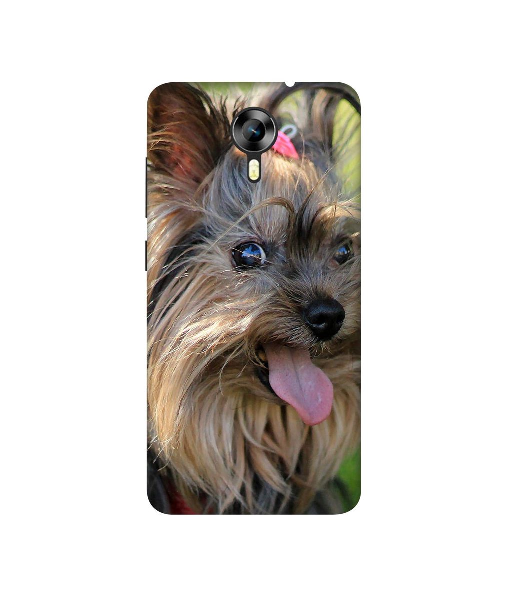 Amazon Brand - Solimo Designer Hairy Puppy 3D Printed Hard Back Case Mobile Cover for Micromax Canvas Xpress 2 E313