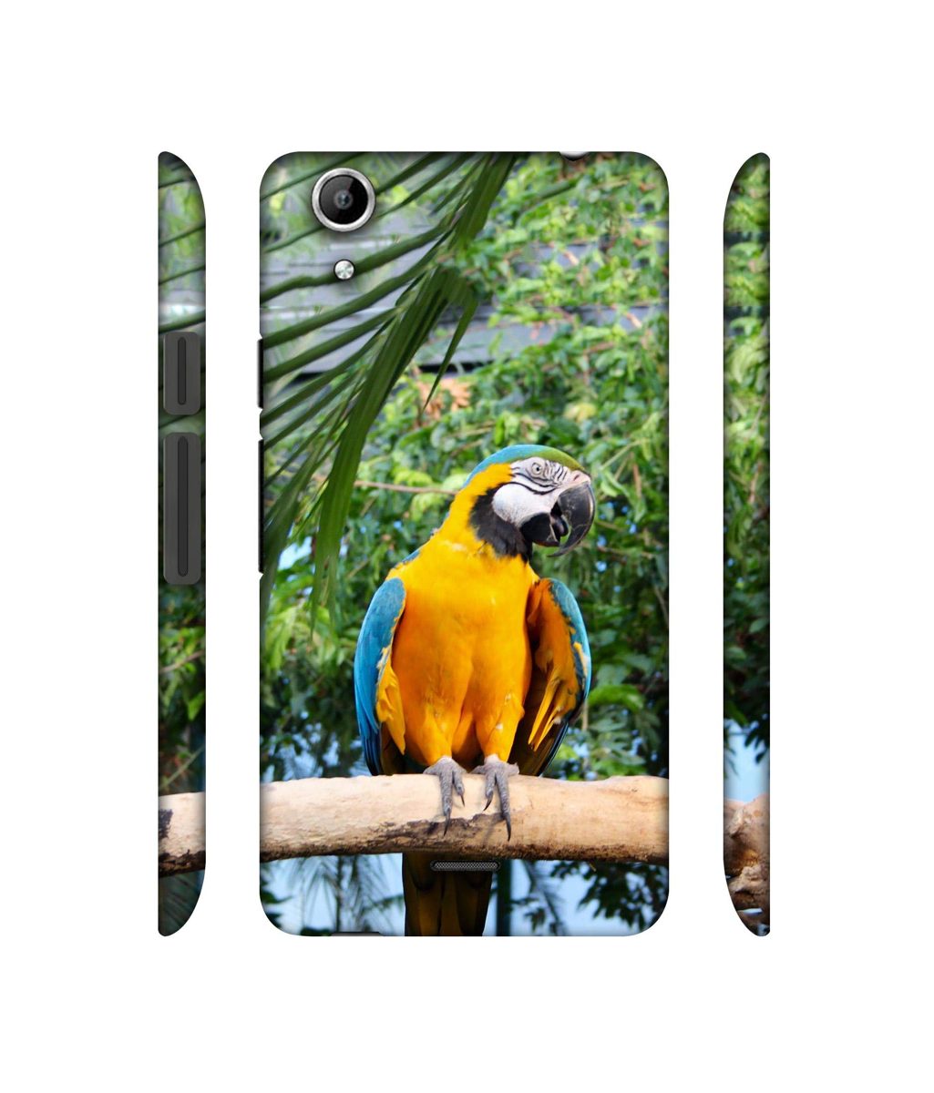 Amazon Brand - Solimo Designer Macaw Bird 3D Printed Hard Back Case Mobile Cover for Micromax Canvas Selfie Lens Q345