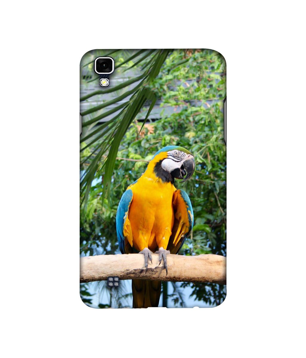 Amazon Brand - Solimo Designer Macaw Bird 3D Printed Hard Back Case Mobile Cover for LG X Power
