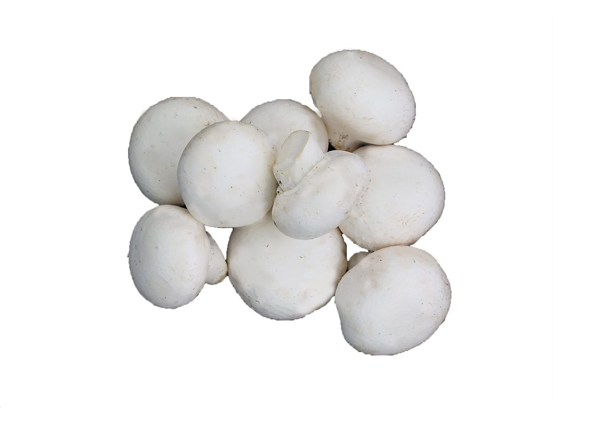 Organic White Mushrooms, 8 oz Package