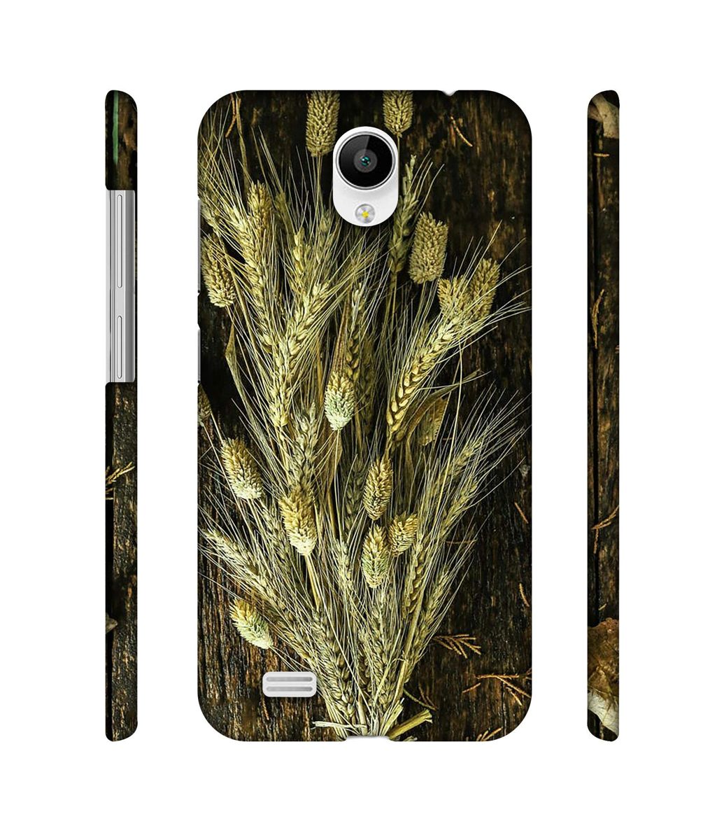 Amazon Brand - Solimo Designer Wheat Plants 3D Printed Hard Back Case Mobile Cover for Vivo Y21L