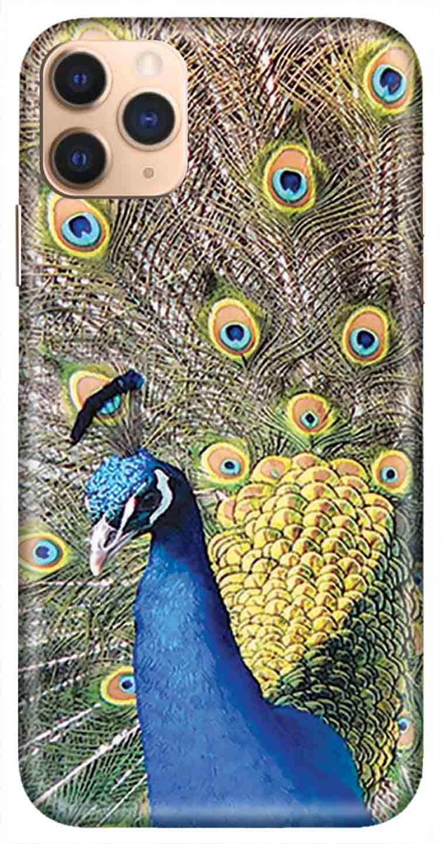 Amazon Brand - Solimo Designer Peacock Design 3D Printed Hard Back Case Mobile Cover for Apple iPhone 11 Pro