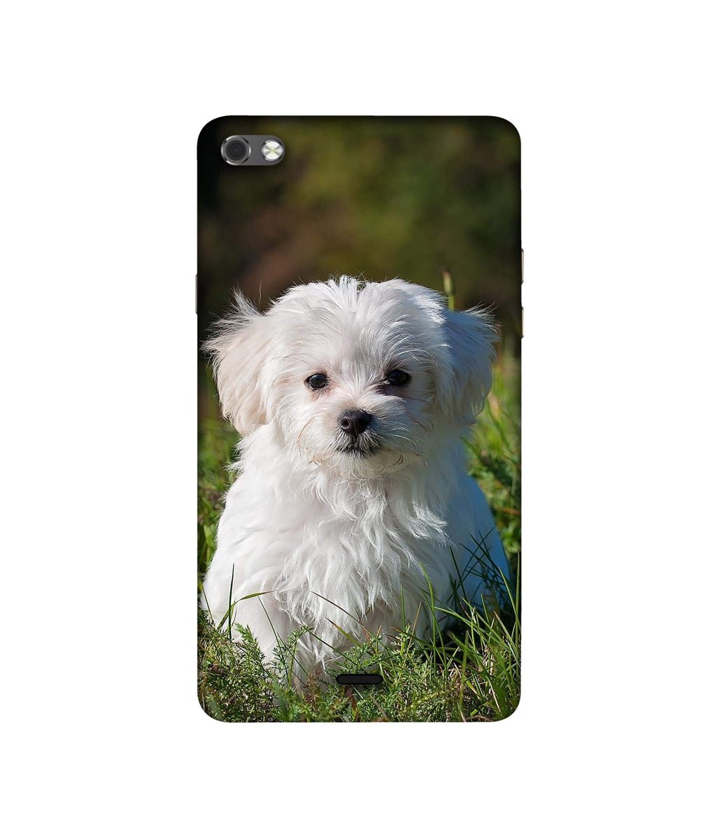 Amazon Brand - Solimo Designer White Dog 3D Printed Hard Back Case Mobile Cover for Micromax Canvas Sliver 5 Q450