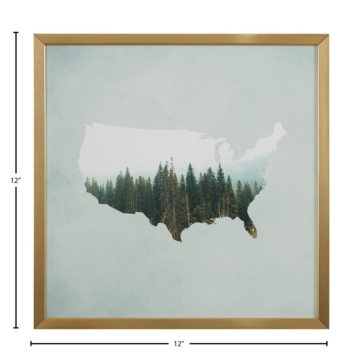 Amazon Brand – Rivet American Forest Map Wall Art Print in Gold Wood Frame, 12" x 12"
