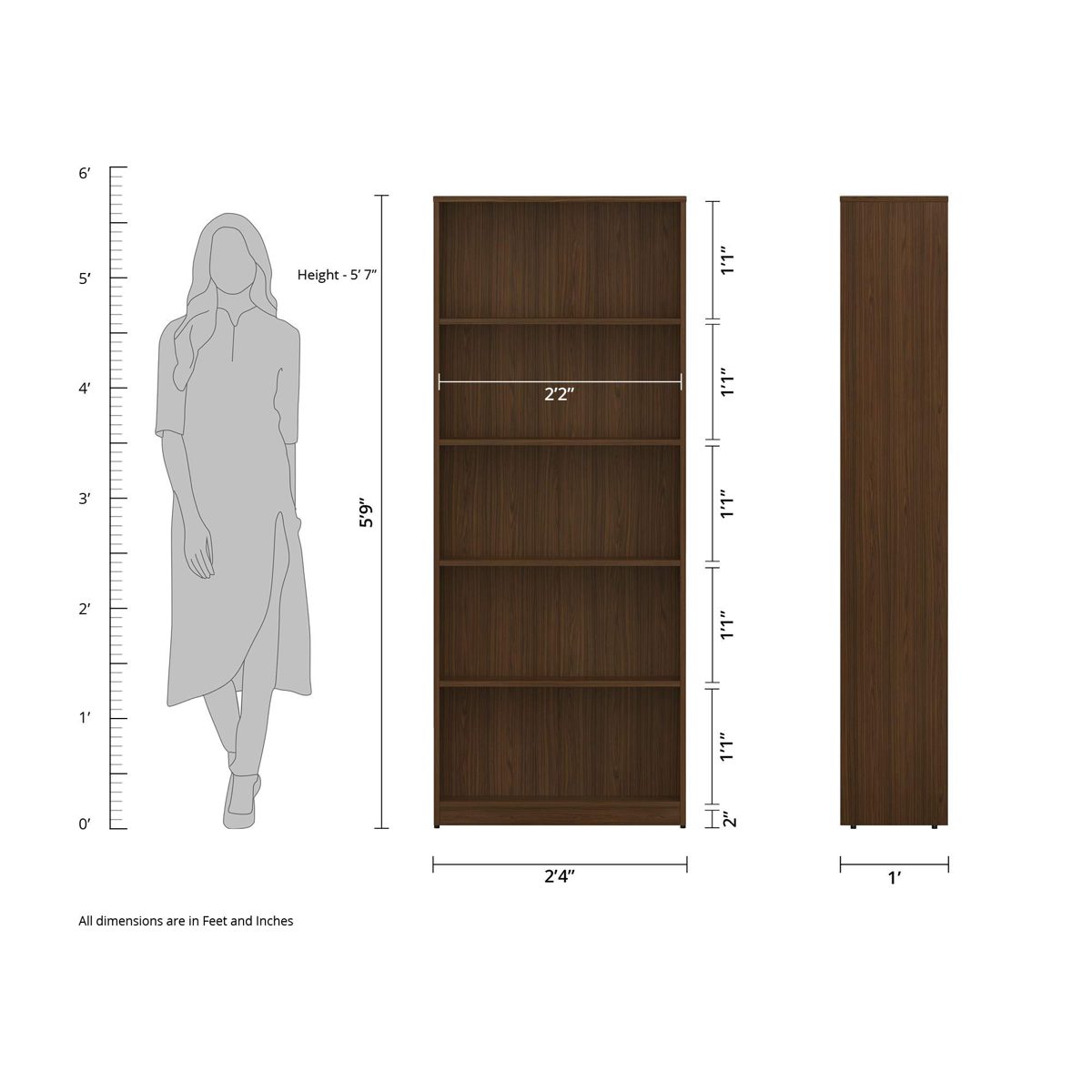 Amazon Brand - Solimo Pavo Engineered Wood Bookcase (Walnut Durance Finish)