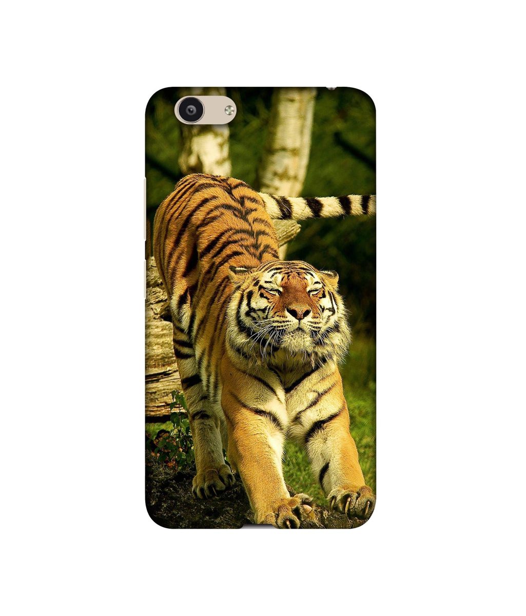 Amazon Brand - Solimo Designer Tiger 3D Printed Hard Back Case Mobile Cover for Vivo Y53
