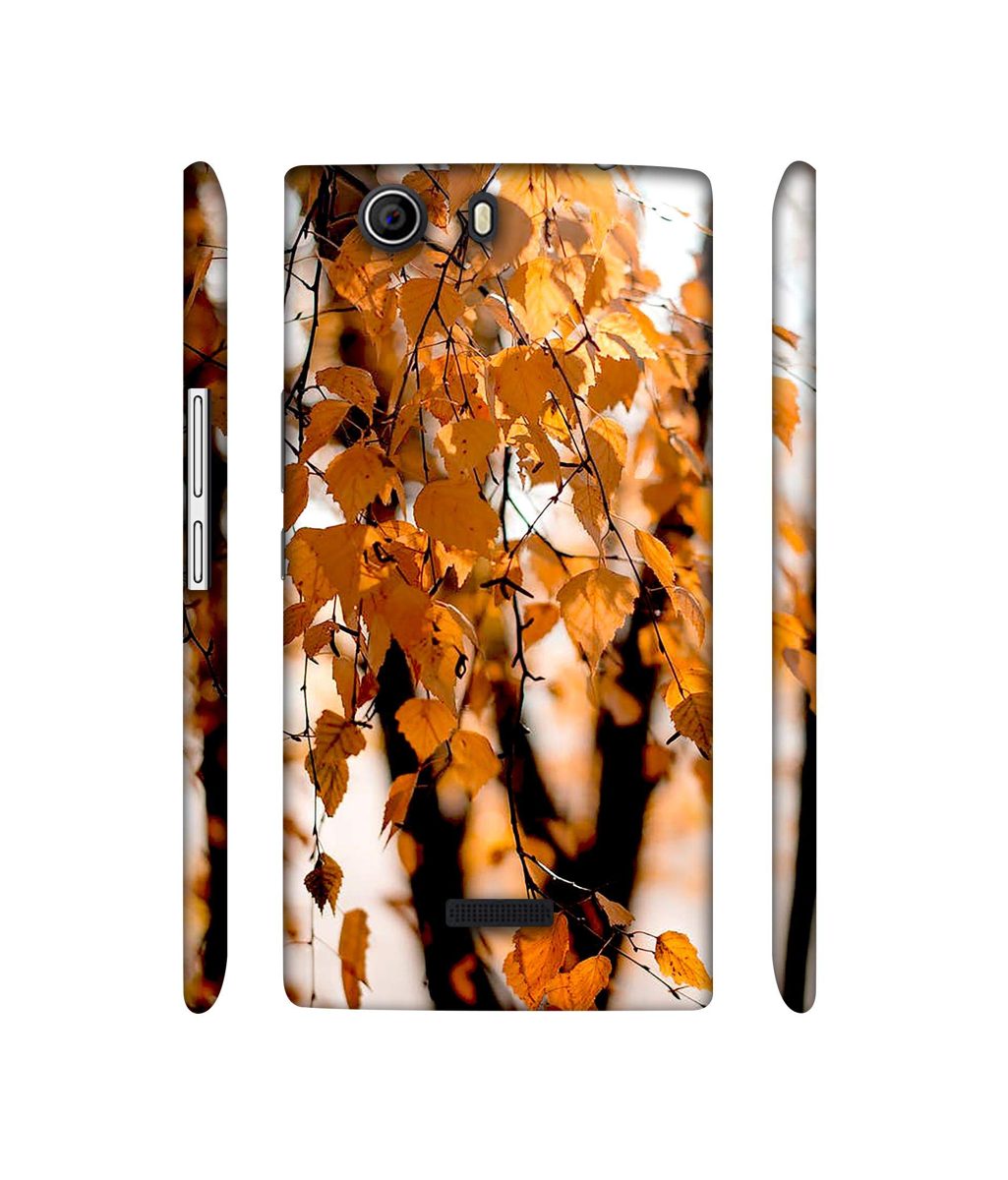 Amazon Brand - Solimo Designer Autumn Photography 3D Printed Hard Back Case Mobile Cover for Micromax Canvas Nitro 2 E311
