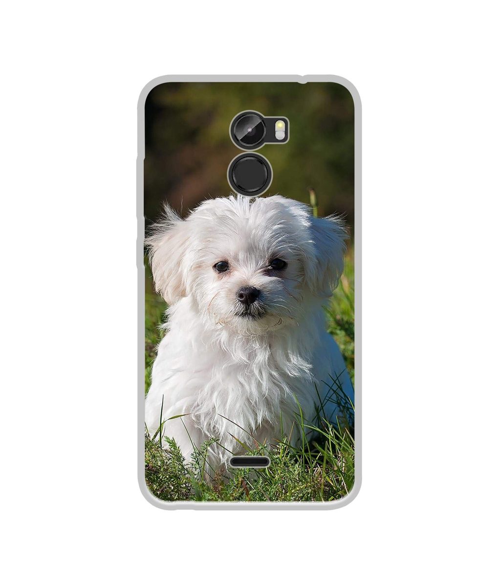 Amazon Brand - Solimo Designer White Dog UV Printed Soft Back Case Mobile Cover for Gionee X1