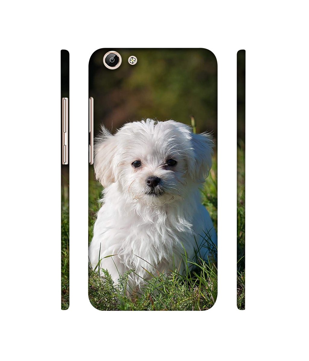 Amazon Brand - Solimo Designer White Dog 3D Printed Hard Back Case Mobile Cover for Vivo Y69