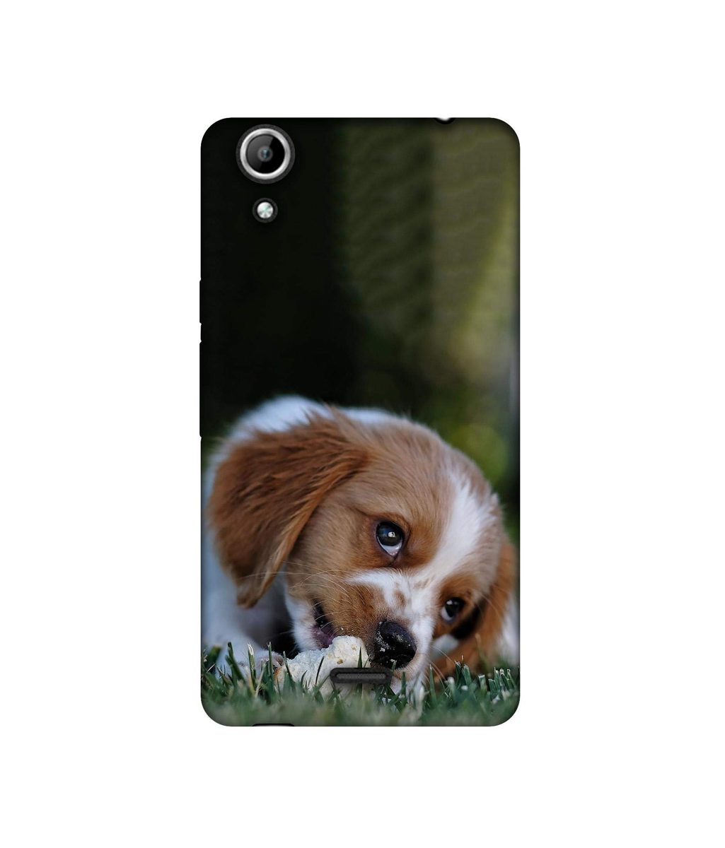 Amazon Brand - Solimo Designer Cute Puppy 3D Printed Hard Back Case Mobile Cover for Micromax Canvas Selfie 2 Q340