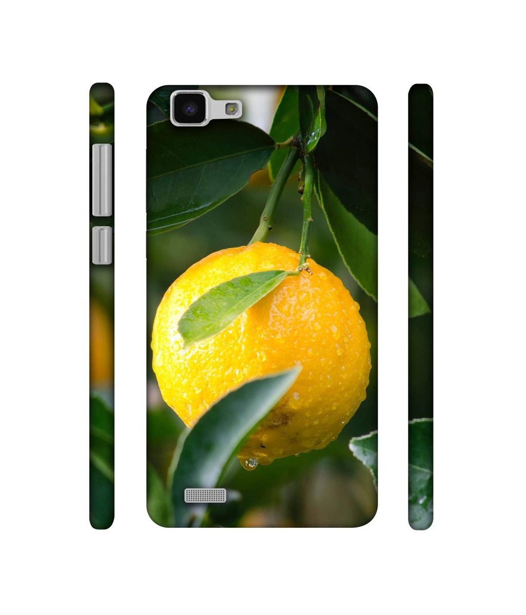 Amazon Brand - Solimo Designer Lemon 3D Printed Hard Back Case Mobile Cover for Vivo Y27L