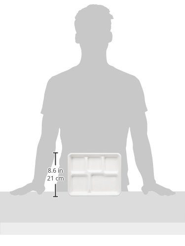 AmazonBasics Compostable 5-Compartment Food Trays, Pack of 125