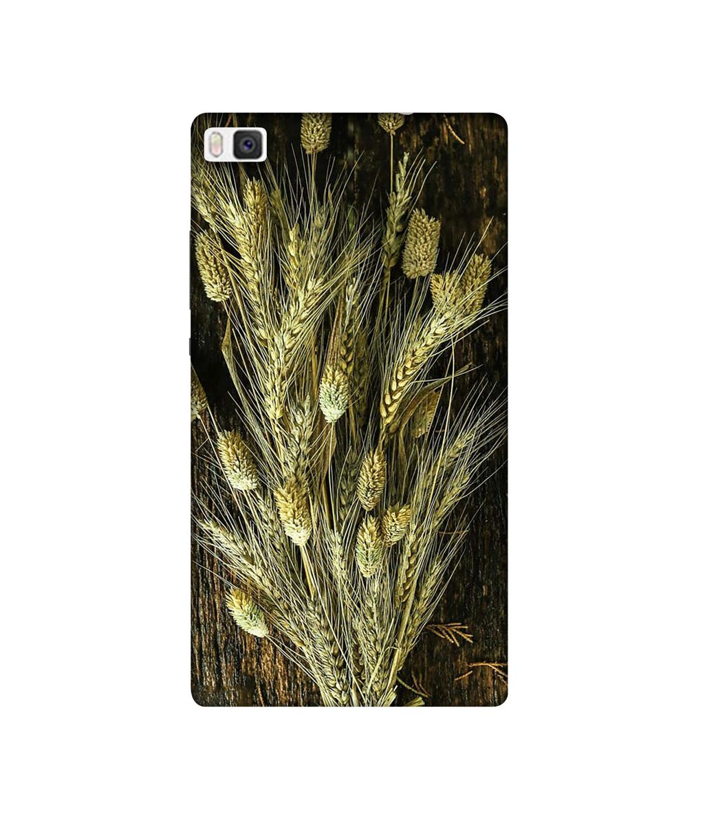 Amazon Brand - Solimo Designer Wheat Plants 3D Printed Hard Back Case Mobile Cover for Huawei P8