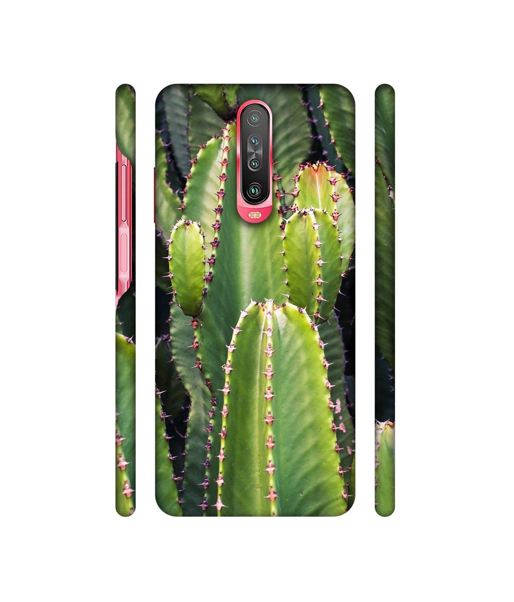 Amazon Brand - Solimo Designer Desert Plant 3D Printed Hard Back Case Mobile Cover for Poco X2 / Mi Redmi K30