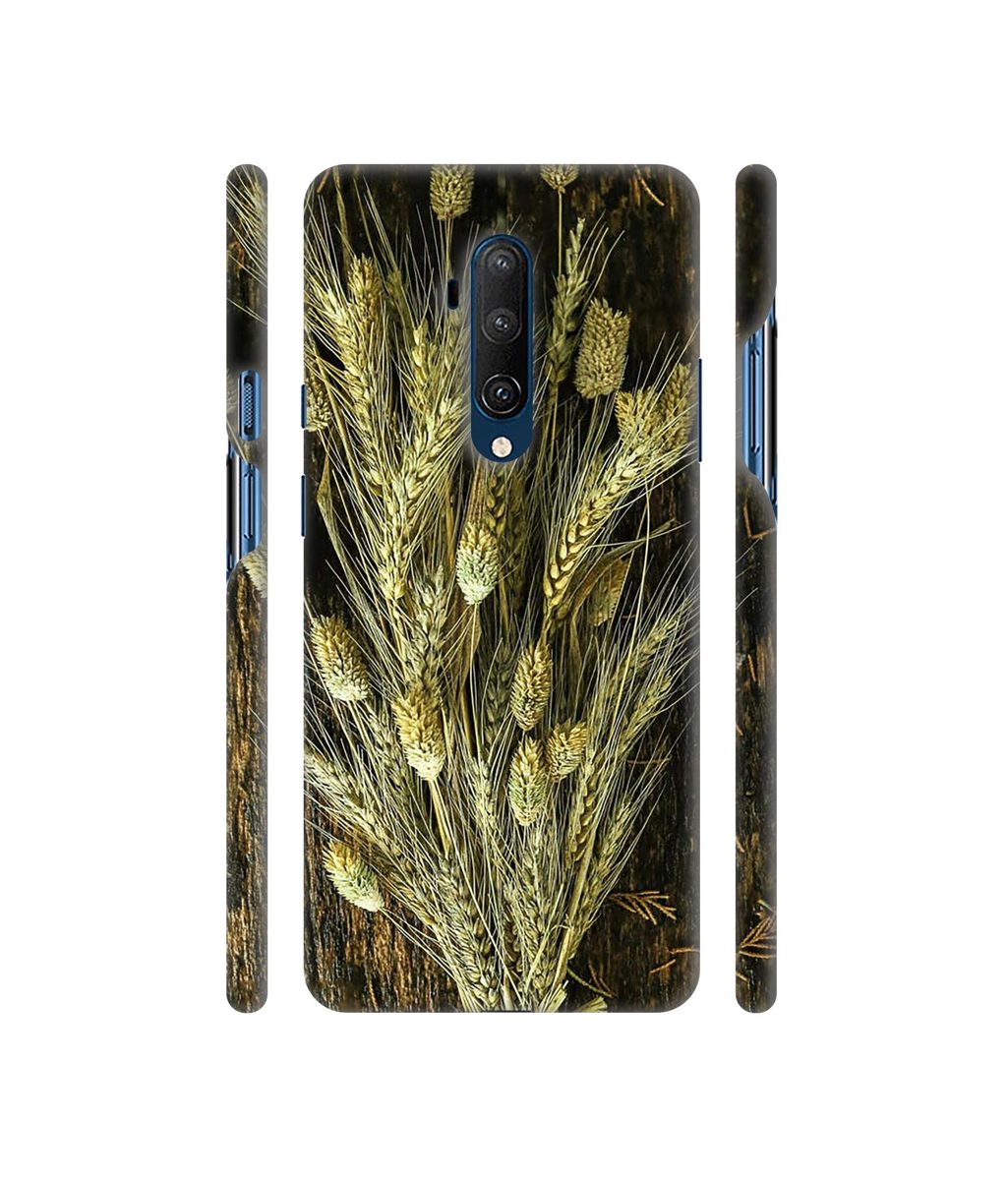 Amazon Brand - Solimo Designer Wheat Plants 3D Printed Hard Back Case Mobile Cover for OnePlus 7T Pro