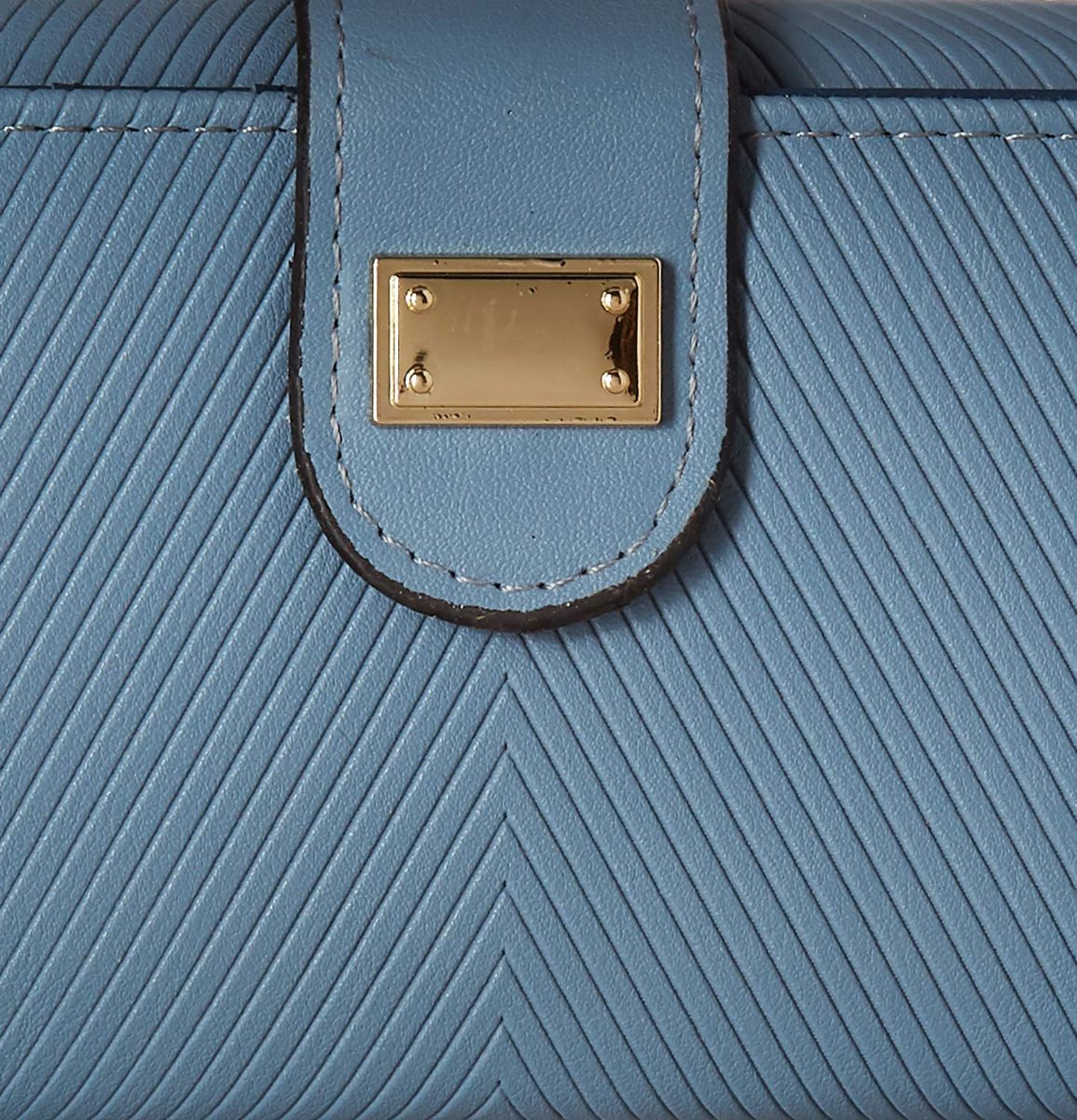 Flavia Women's Clutch (Blue)