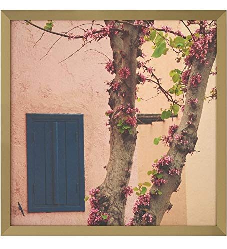 Rivet Pink Blossoms at the Villa on Wood in Black Frame