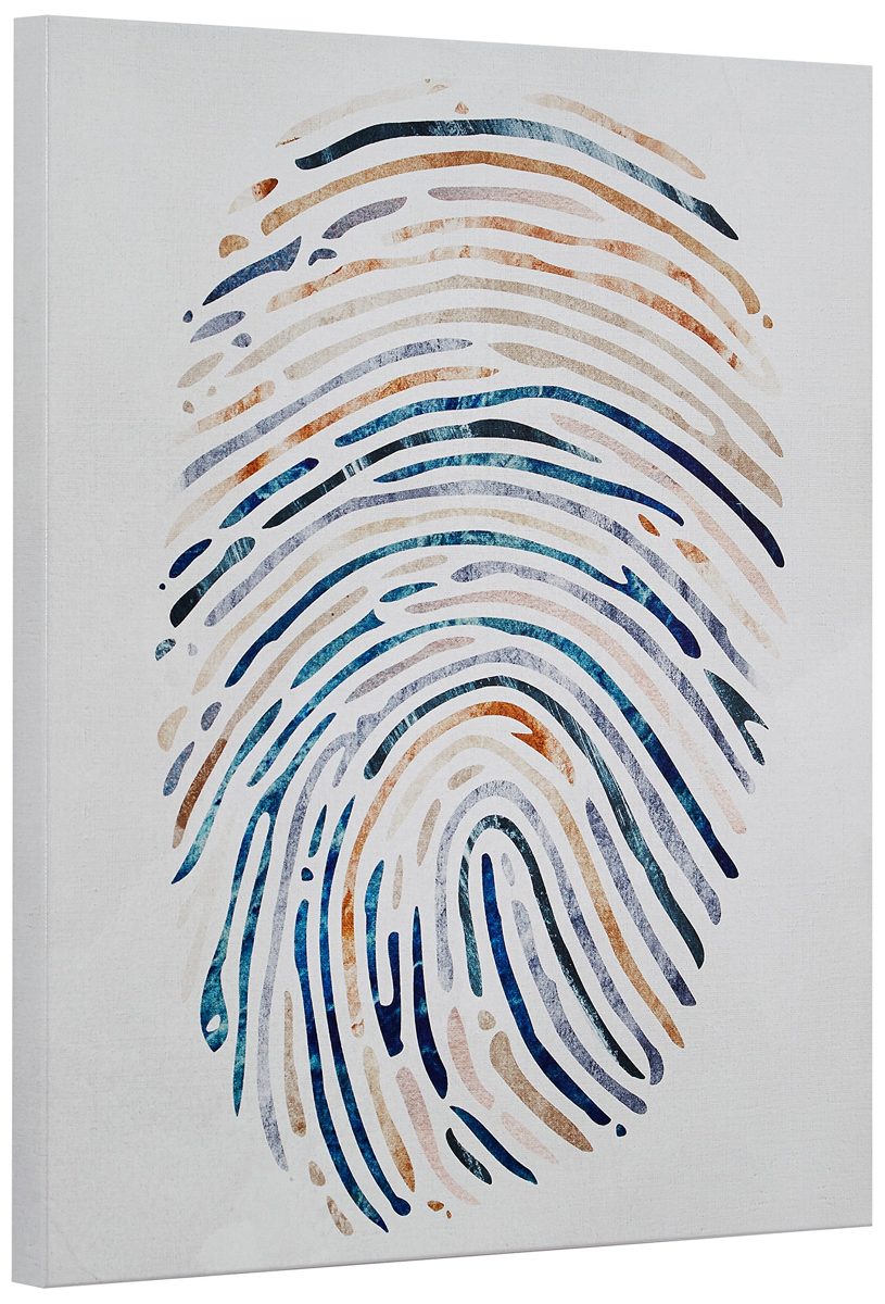 Amazon Brand – Rivet Multi-Color Canvas Fingerprint, 17" x 20"