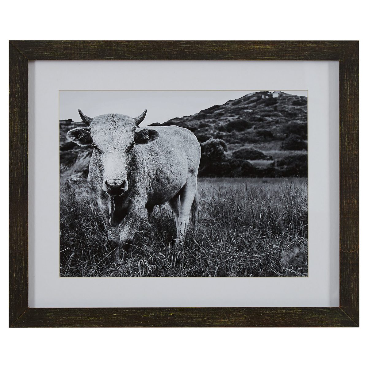 Amazon Brand – Stone & Beam Modern Black and White Photo of Bull Wall Art in Charcoal Frame, 22" x 18"