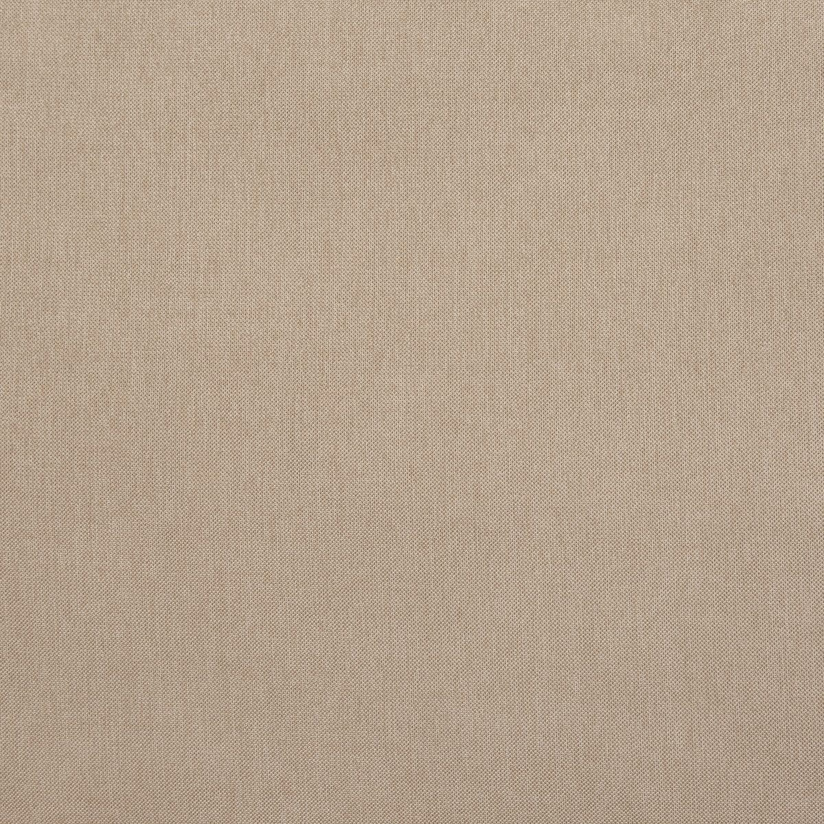 Amazon Brand – Stone & Beam Isabel Traditional Loveseat Sofa, 83.8"W, Tan