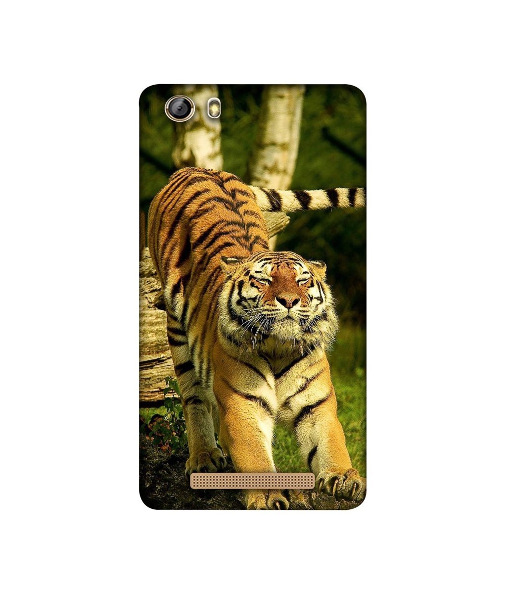 Amazon Brand - Solimo Designer Tiger 3D Printed Hard Back Case Mobile Cover for Gionee Marathon M5 lite
