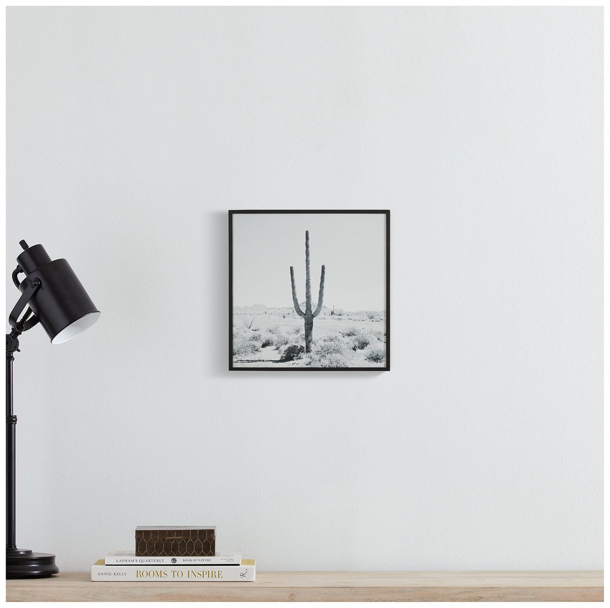 Modern Black and White Desert Cactus Photo Wall Art on Wood