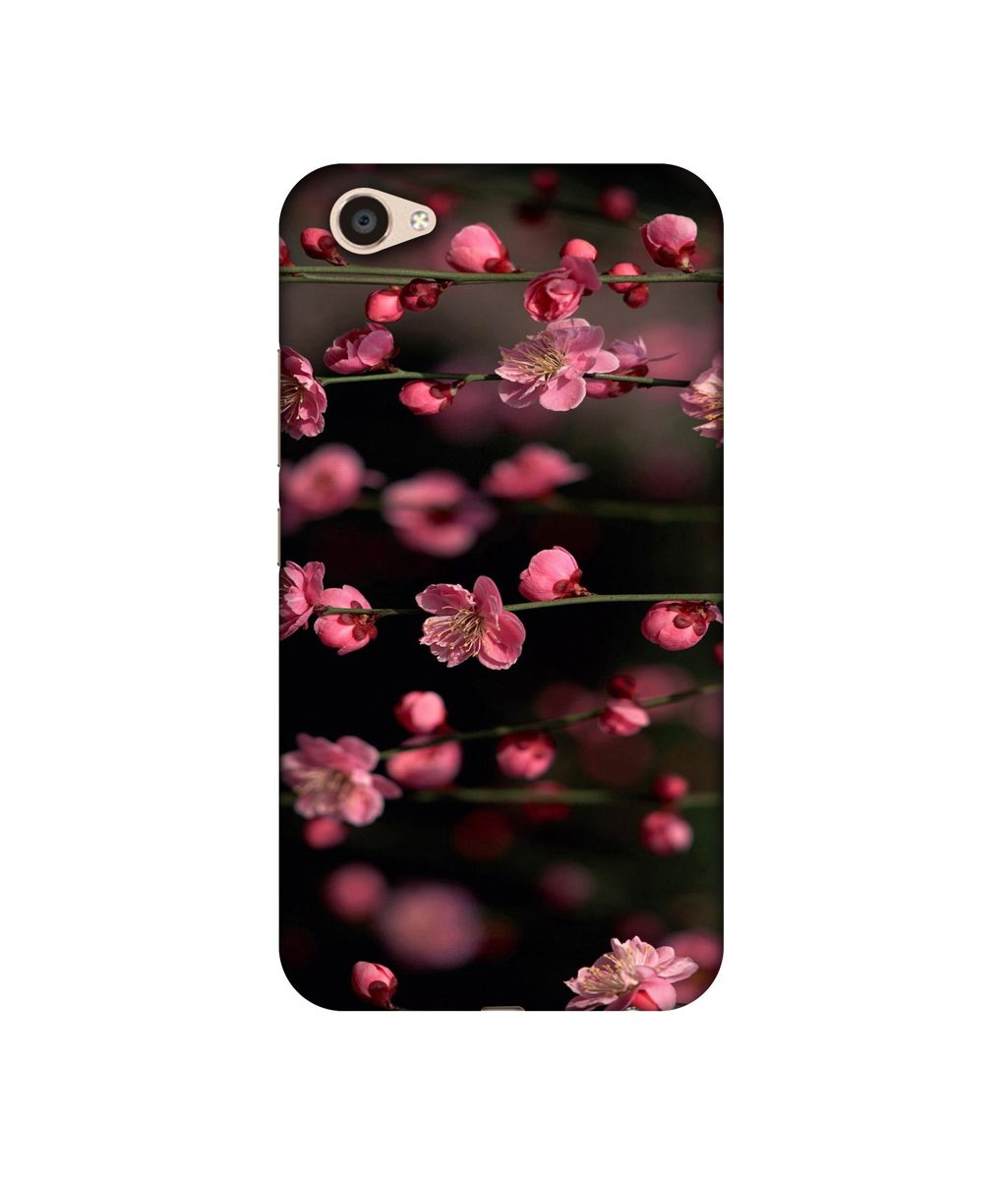 Amazon Brand - Solimo Designer Pink Flowers UV Printed Soft Back Case Mobile Cover for Vivo V5 Plus