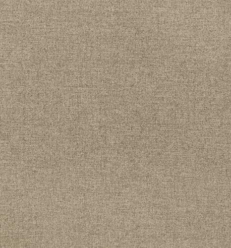 Stone & Beam Dove Swatch, Stone & Beam 25020100-07