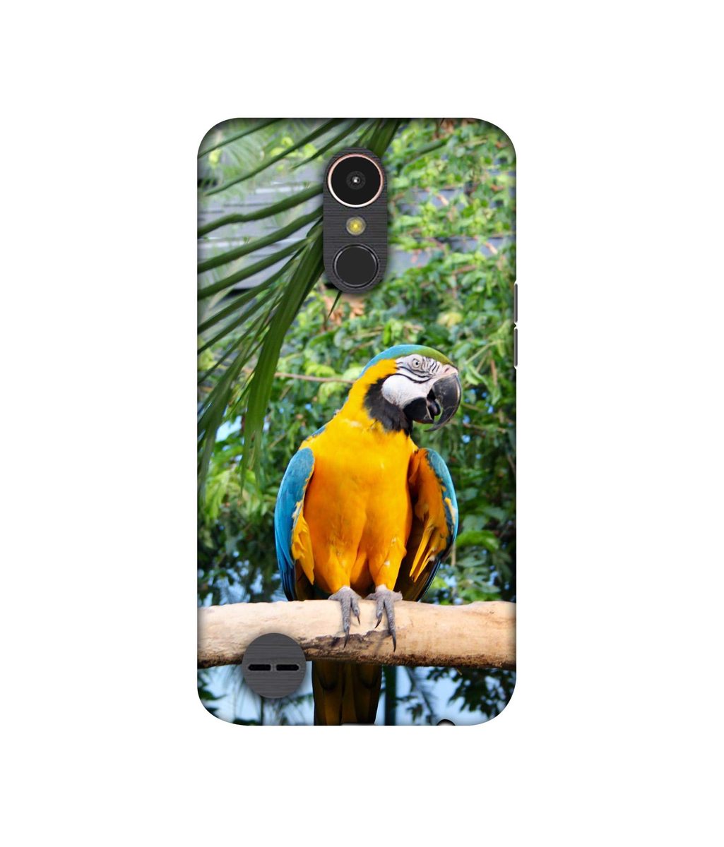Amazon Brand - Solimo Designer Macaw Bird 3D Printed Hard Back Case Mobile Cover for LG K10 (2017)