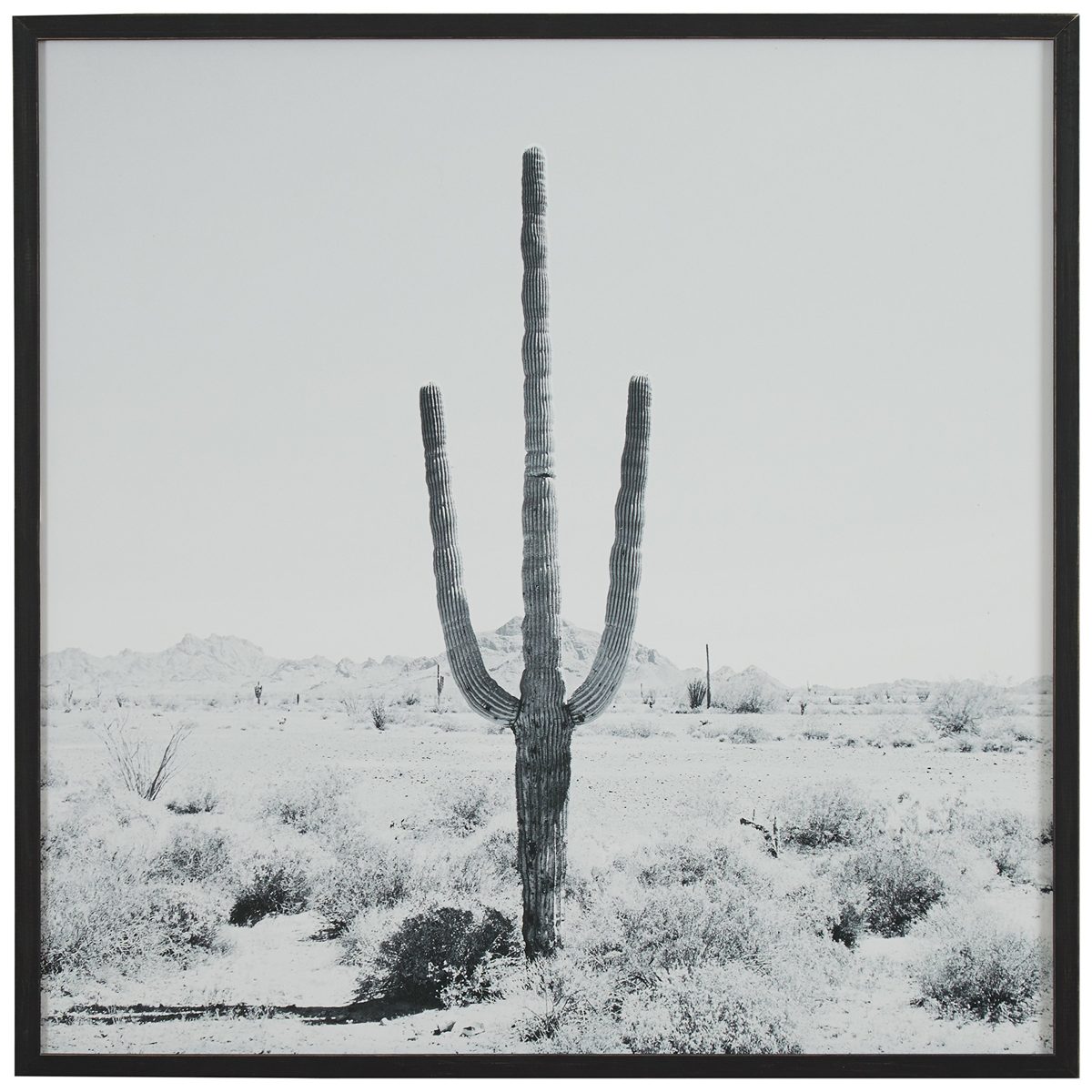 Modern Black and White Desert Cactus Photo Wall Art on Wood