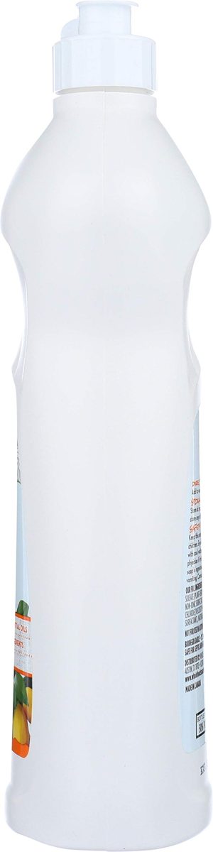 365 Everyday Value, Dish Soap, Citrus, 25 fl oz